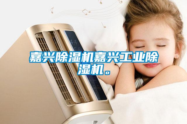 嘉興除濕機嘉興工業(yè)除濕機。