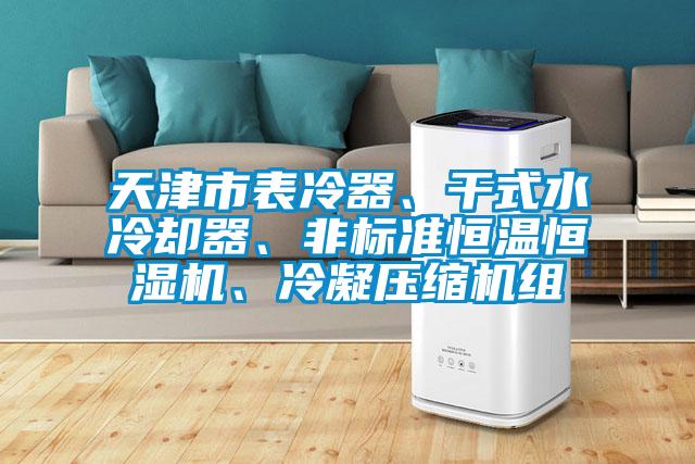天津市表冷器、干式水冷卻器、非標(biāo)準(zhǔn)恒溫恒濕機(jī)、冷凝壓縮機(jī)組