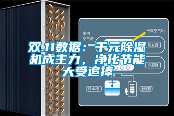 雙.11數(shù)據(jù)：千元除濕機(jī)成主力，凈化節(jié)能大受追捧
