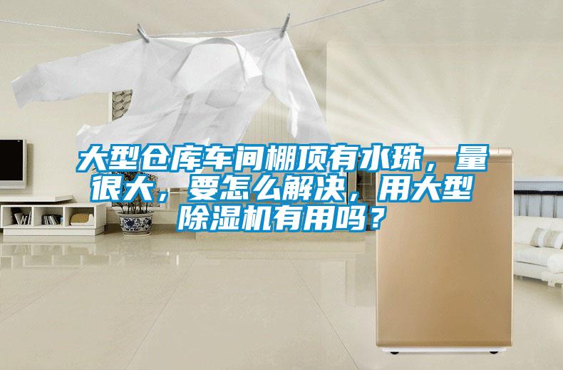 大型倉(cāng)庫(kù)車(chē)間棚頂有水珠，量很大，要怎么解決，用大型除濕機(jī)有用嗎？