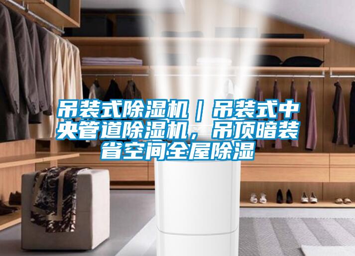 吊裝式除濕機(jī)｜吊裝式中央管道除濕機(jī)，吊頂暗裝省空間全屋除濕