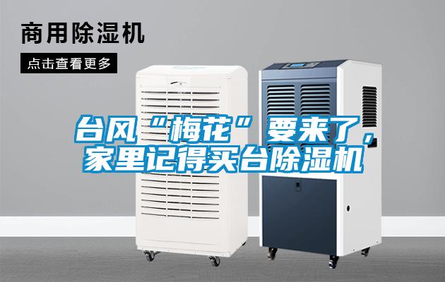 臺風(fēng)“梅花”要來了，家里記得買臺除濕機(jī)