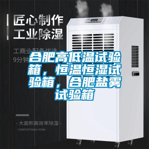 合肥高低溫試驗(yàn)箱，恒溫恒濕試驗(yàn)箱，合肥鹽霧試驗(yàn)箱