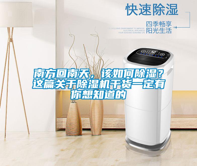 南方回南天，該如何除濕？這篇關(guān)于除濕機(jī)干貨一定有你想知道的