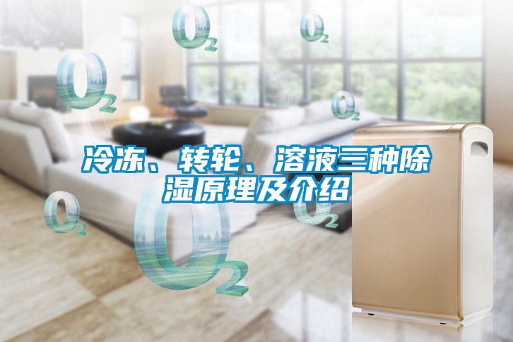 冷凍、轉(zhuǎn)輪、溶液三種除濕原理及介紹