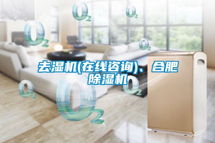 去濕機(jī)(在線咨詢)、合肥除濕機(jī)