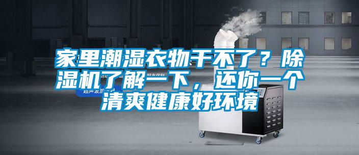 家里潮濕衣物干不了？除濕機(jī)了解一下，還你一個(gè)清爽健康好環(huán)境