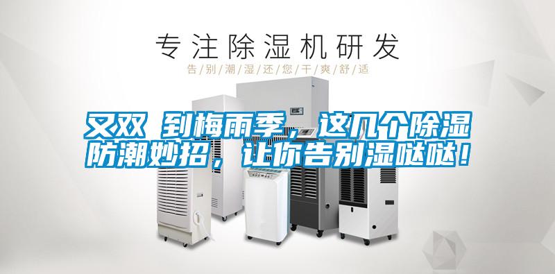 又雙叒到梅雨季，這幾個除濕防潮妙招，讓你告別濕噠噠！