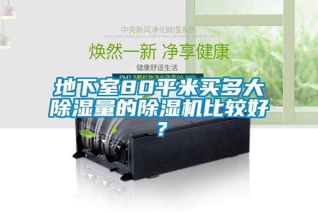 地下室80平米買多大除濕量的除濕機(jī)比較好？