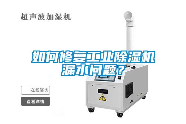 如何修復(fù)工業(yè)除濕機漏水問題？