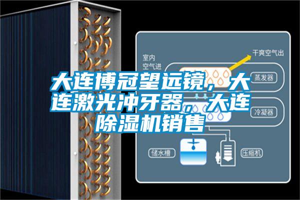 大連博冠望遠(yuǎn)鏡，大連激光沖牙器，大連除濕機(jī)銷售