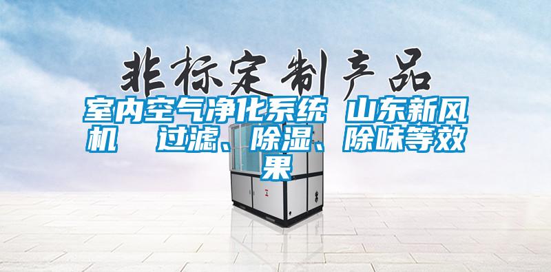 室內(nèi)空氣凈化系統(tǒng) 山東新風(fēng)機(jī)  過(guò)濾、除濕、除味等效果