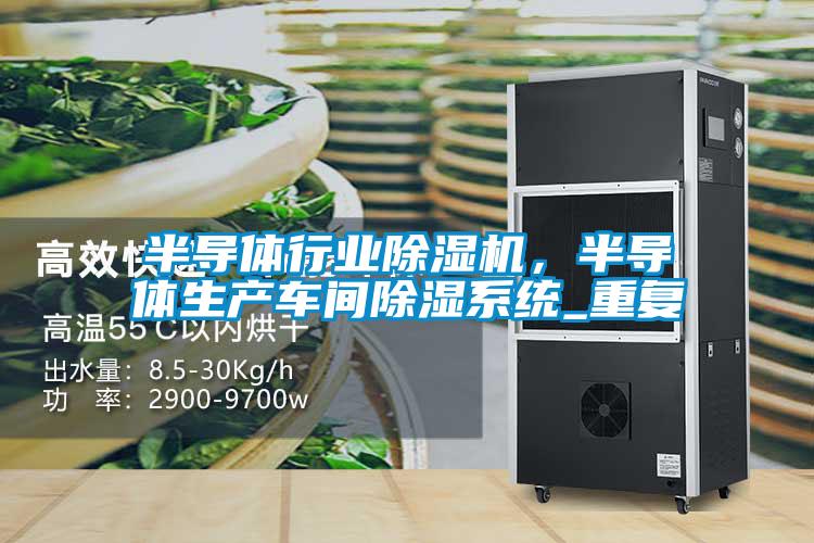 半導(dǎo)體行業(yè)除濕機(jī)，半導(dǎo)體生產(chǎn)車間除濕系統(tǒng)_重復(fù)