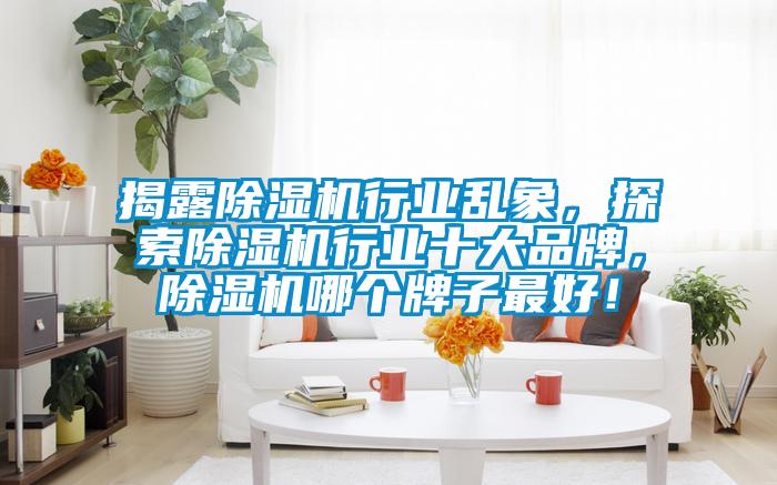 揭露除濕機(jī)行業(yè)亂象，探索除濕機(jī)行業(yè)十大品牌，除濕機(jī)哪個(gè)牌子最好！