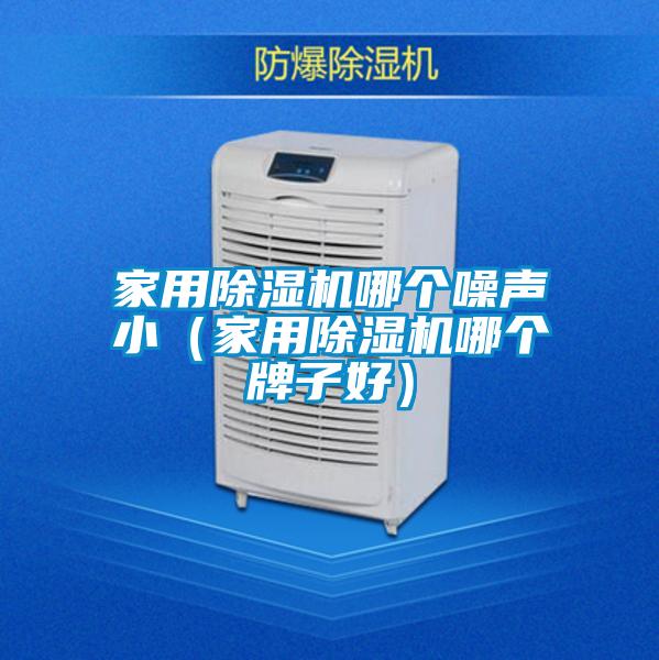家用除濕機(jī)哪個(gè)噪聲?。矣贸凉駲C(jī)哪個(gè)牌子好）