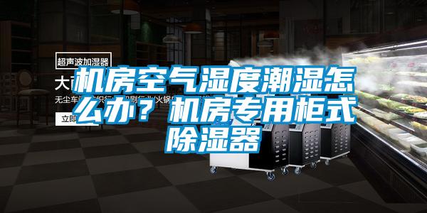 機房空氣濕度潮濕怎么辦？機房專用柜式除濕器