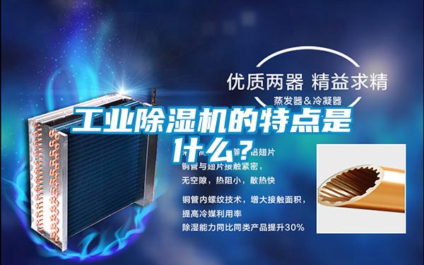 工業(yè)除濕機的特點是什么？