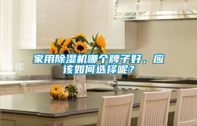 家用除濕機哪個牌子好，應(yīng)該如何選擇呢？