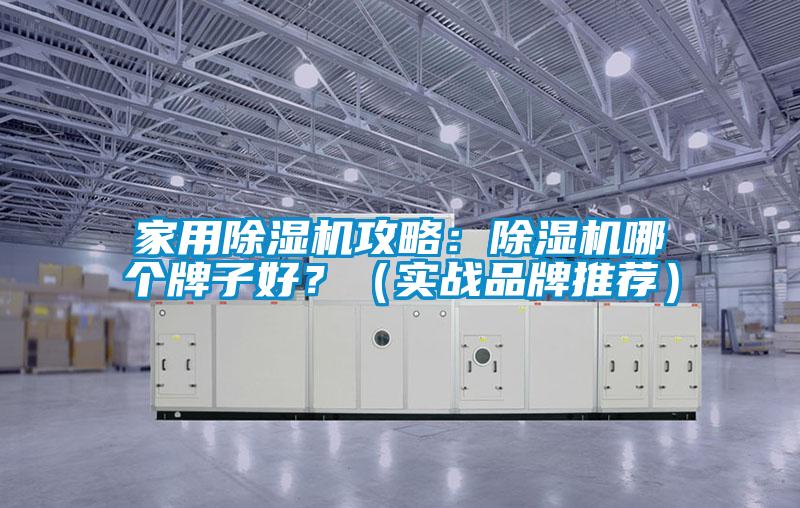 家用除濕機(jī)攻略：除濕機(jī)哪個(gè)牌子好？（實(shí)戰(zhàn)品牌推薦）