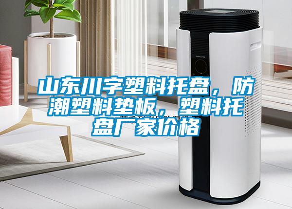 山東川字塑料托盤，防潮塑料墊板，塑料托盤廠家價(jià)格