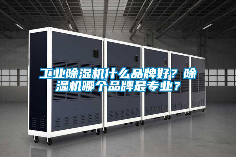 工業(yè)除濕機什么品牌好？除濕機哪個品牌最專業(yè)？