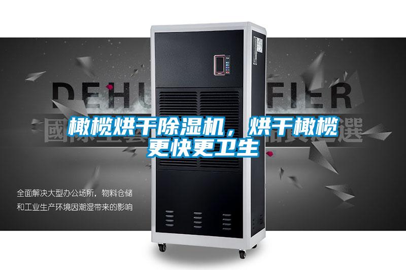 橄欖烘干除濕機(jī)，烘干橄欖更快更衛(wèi)生