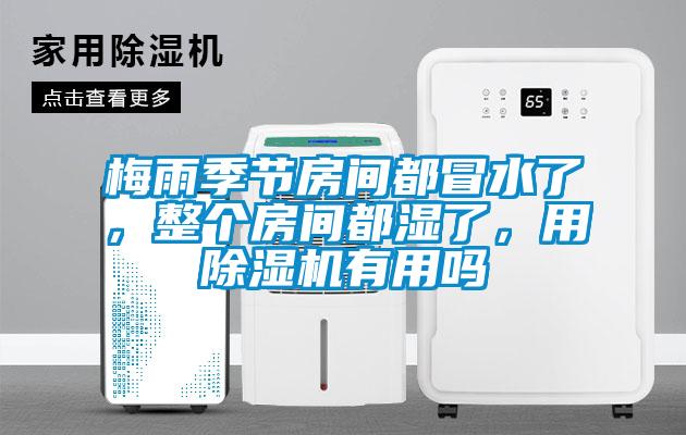 梅雨季節(jié)房間都冒水了，整個房間都濕了，用除濕機有用嗎