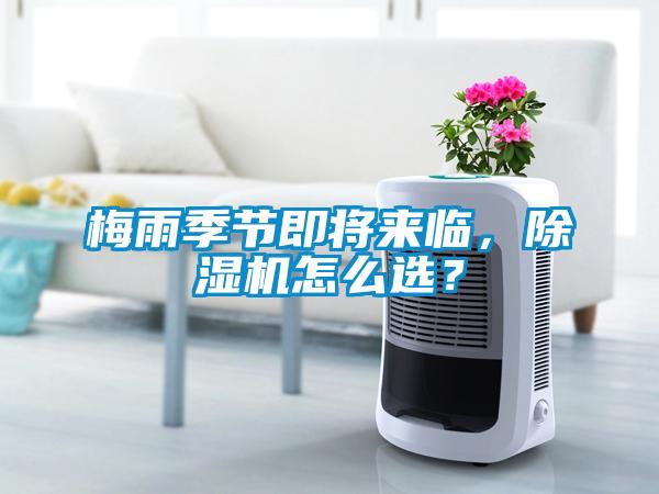 梅雨季節(jié)即將來臨，除濕機怎么選？