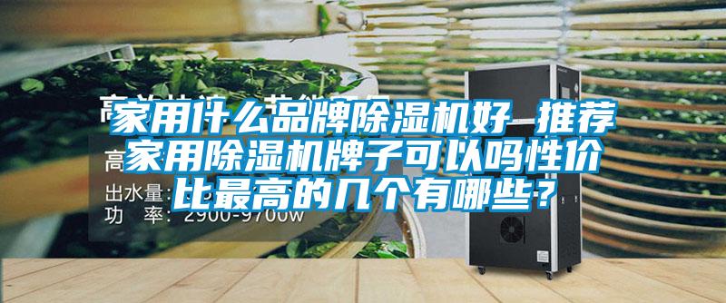 家用什么品牌除濕機好 推薦家用除濕機牌子可以嗎性價比最高的幾個有哪些？