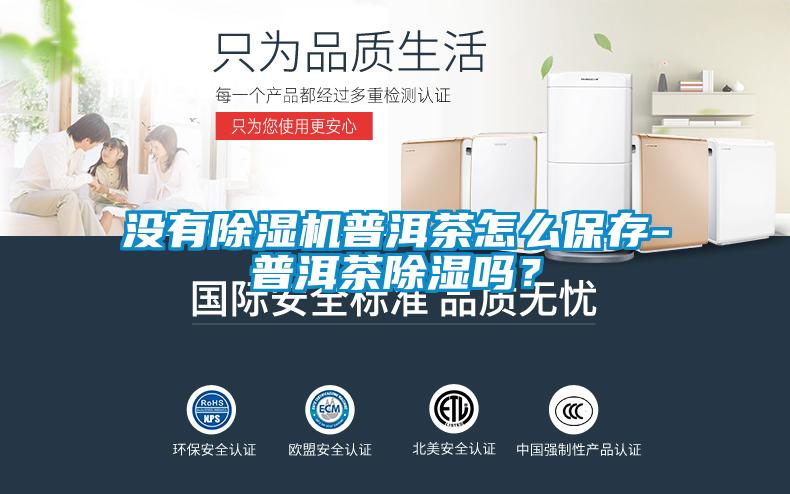 沒有除濕機普洱茶怎么保存-普洱茶除濕嗎？
