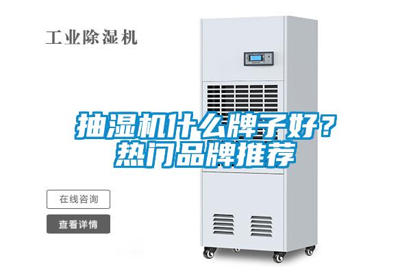 抽濕機什么牌子好？熱門品牌推薦