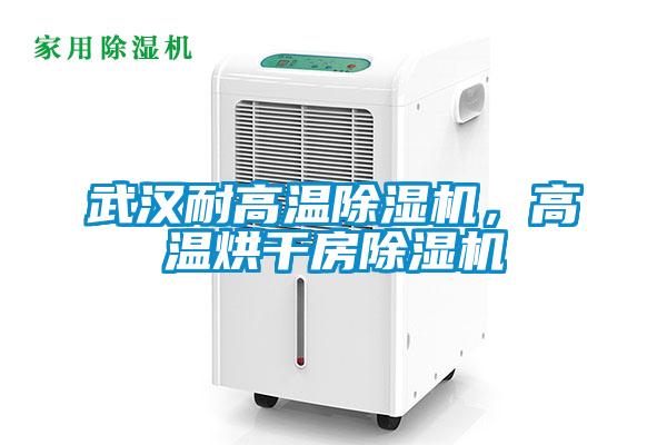 武漢耐高溫除濕機(jī)，高溫烘干房除濕機(jī)