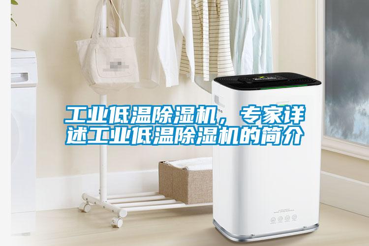 工業(yè)低溫除濕機(jī)，專家詳述工業(yè)低溫除濕機(jī)的簡介