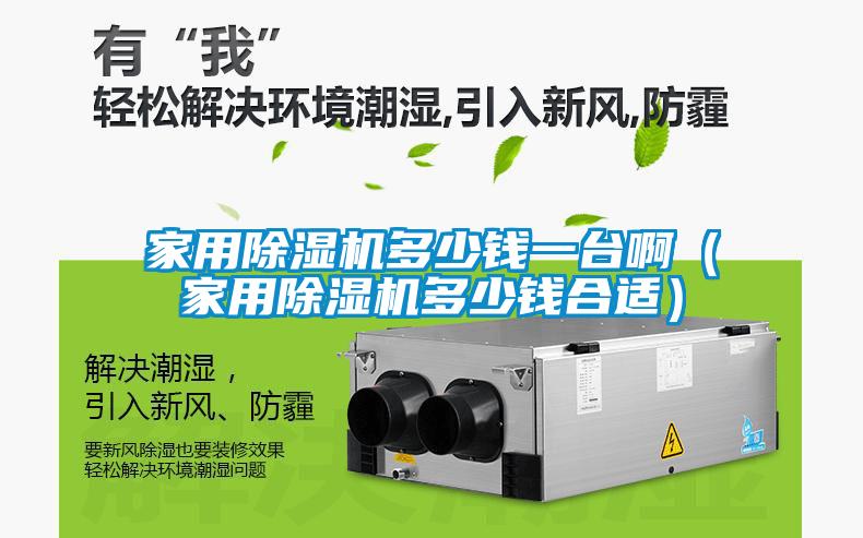 家用除濕機(jī)多少錢一臺(tái)?。矣贸凉駲C(jī)多少錢合適）