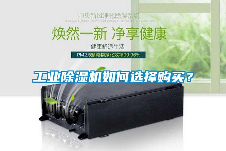 工業(yè)除濕機(jī)如何選擇購(gòu)買(mǎi)？