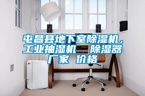 屯昌縣地下室除濕機(jī)，工業(yè)抽濕機(jī)  除濕器廠家 價格