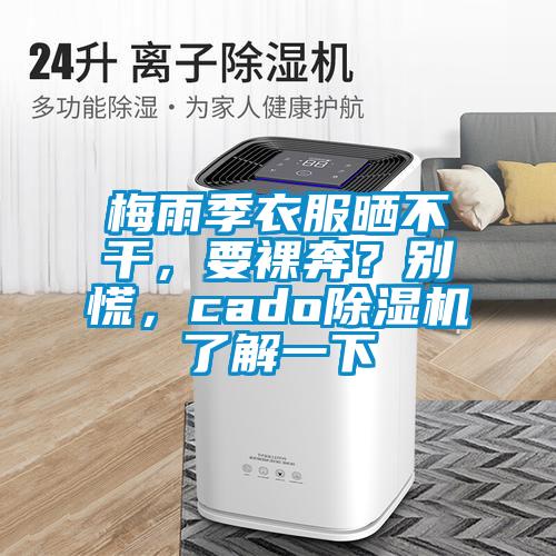 梅雨季衣服曬不干，要裸奔？別慌，cado除濕機了解一下