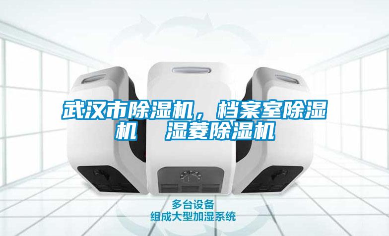 武漢市除濕機(jī)，檔案室除濕機(jī)  濕菱除濕機(jī)