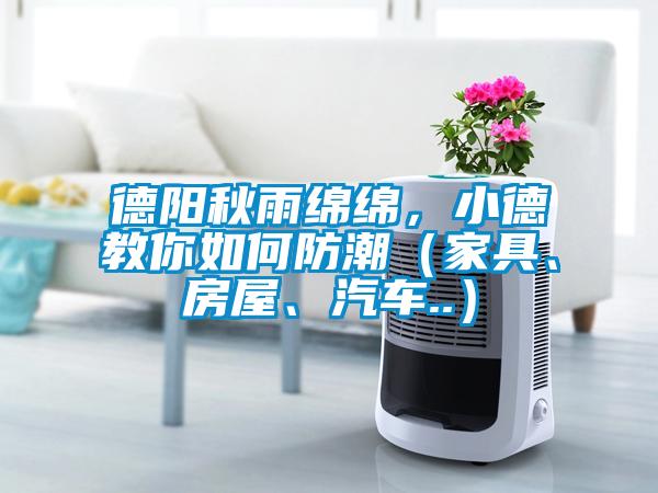 德陽(yáng)秋雨綿綿，小德教你如何防潮（家具、房屋、汽車(chē)..）