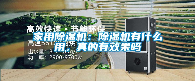 家用除濕機：除濕機有什么用，真的有效果嗎