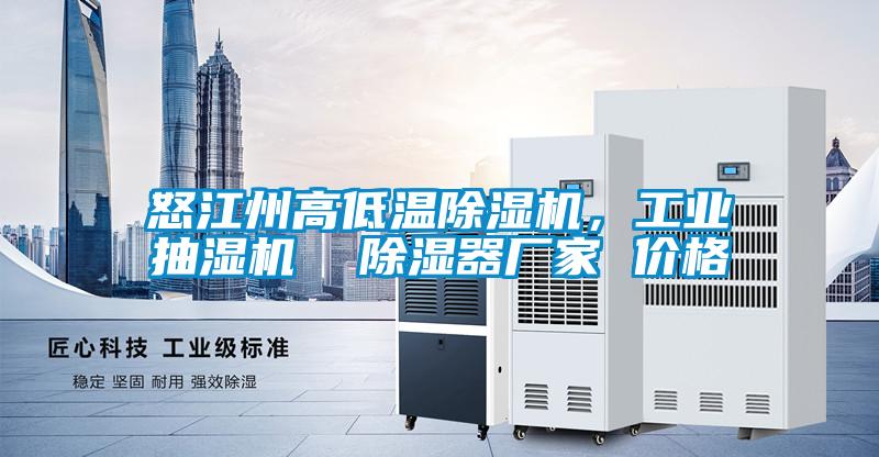 怒江州高低溫除濕機(jī)，工業(yè)抽濕機(jī)  除濕器廠家 價(jià)格