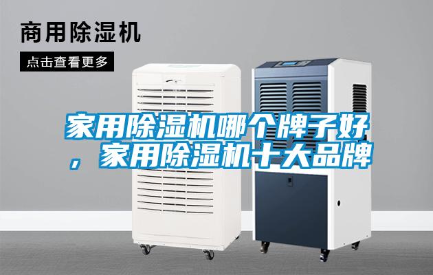 家用除濕機(jī)哪個(gè)牌子好，家用除濕機(jī)十大品牌