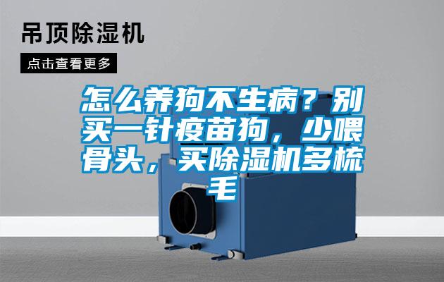 怎么養(yǎng)狗不生??？別買一針疫苗狗，少喂骨頭，買除濕機(jī)多梳毛