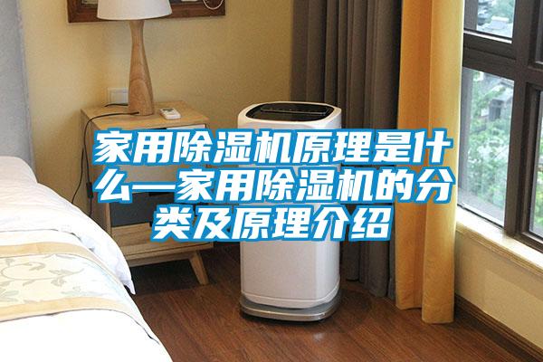 家用除濕機(jī)原理是什么—家用除濕機(jī)的分類(lèi)及原理介紹