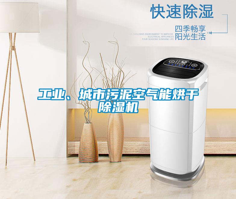 工業(yè)、城市污泥空氣能烘干除濕機