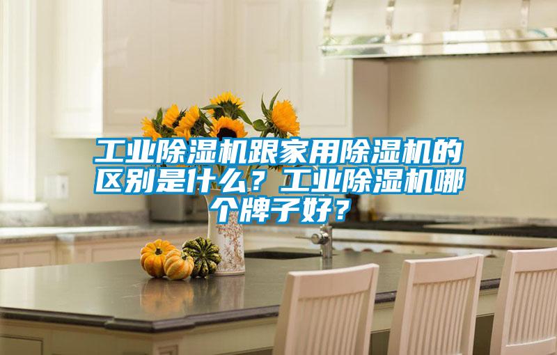 工業(yè)除濕機跟家用除濕機的區(qū)別是什么？工業(yè)除濕機哪個牌子好？