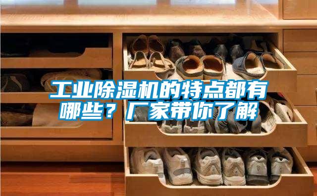 工業(yè)除濕機的特點都有哪些？廠家?guī)懔私?></div>
								<div   id=