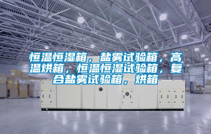 恒溫恒濕箱，鹽霧試驗(yàn)箱，高溫烘箱，恒溫恒濕試驗(yàn)箱，復(fù)合鹽霧試驗(yàn)箱，烘箱