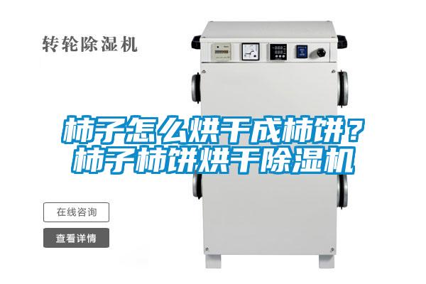 柿子怎么烘干成柿餅？柿子柿餅烘干除濕機(jī)