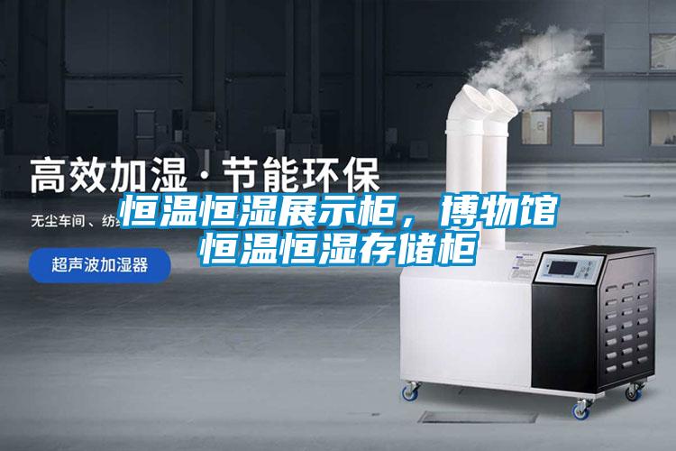 恒溫恒濕展示柜，博物館恒溫恒濕存儲柜